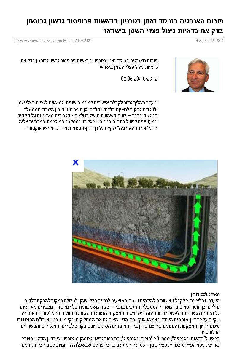 The energy forum at S. Neaman Institute at the Technion led by Prof. Gershon Grossman examined the profitability of oil shale utilization in Israel