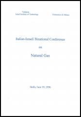 Italian-Israeli Binational Conference on Natural Gas